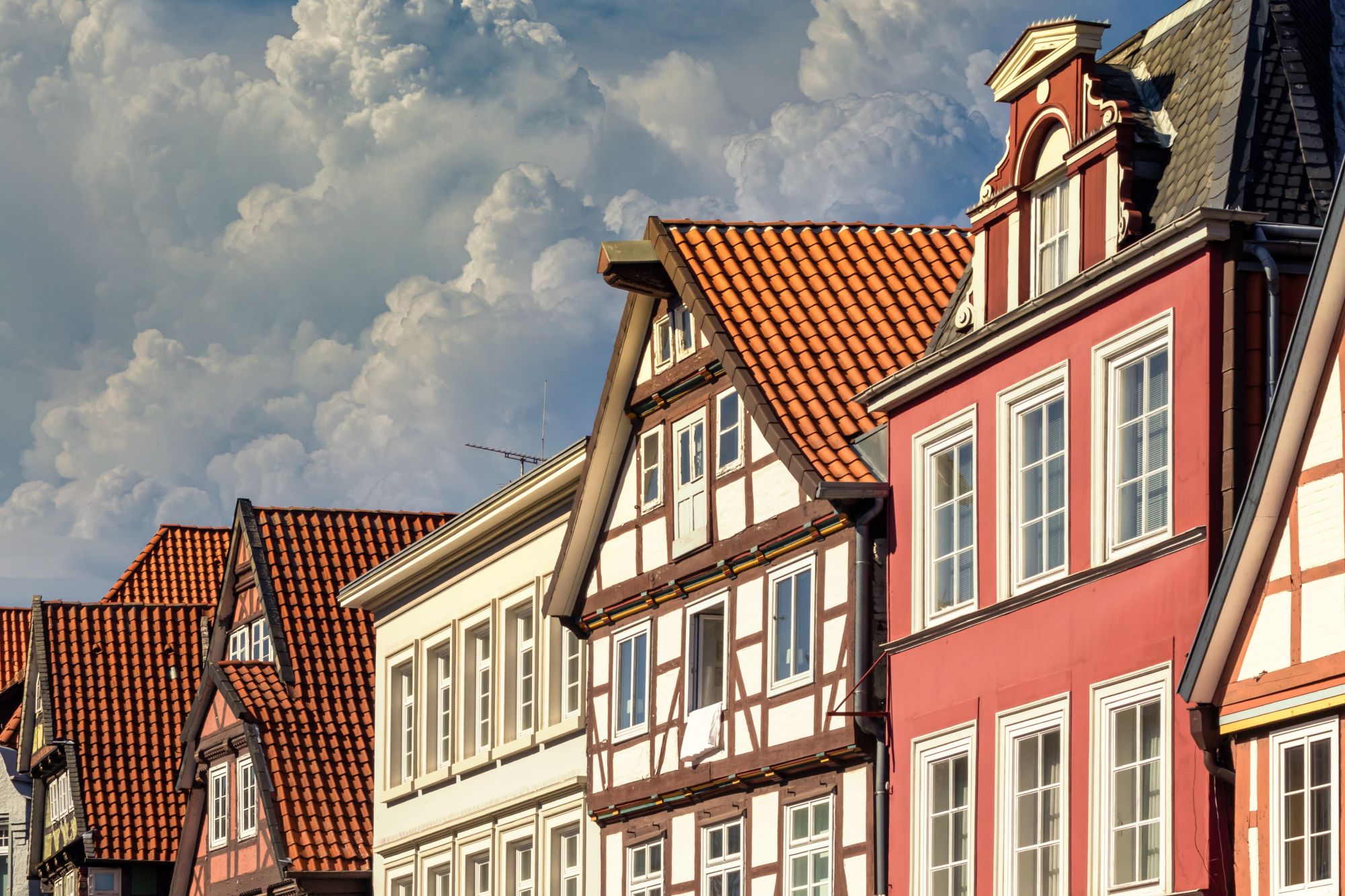 Celle